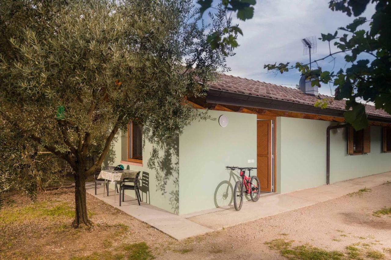 Agriturismo Sarca House Dro Kültér fotó
